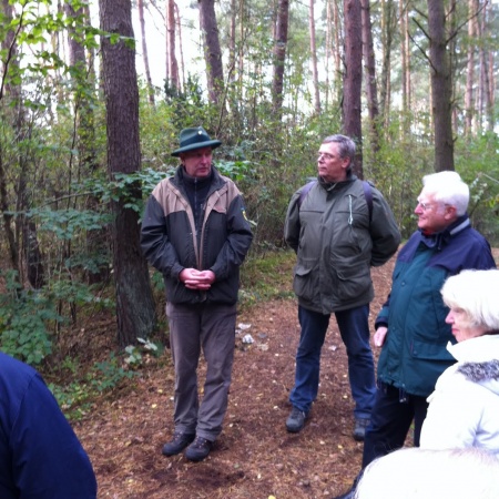 Größeres Bild ansehen