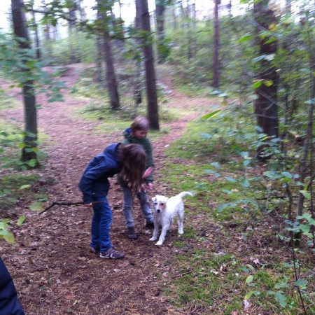 Größeres Bild ansehen