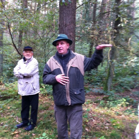 Größeres Bild ansehen