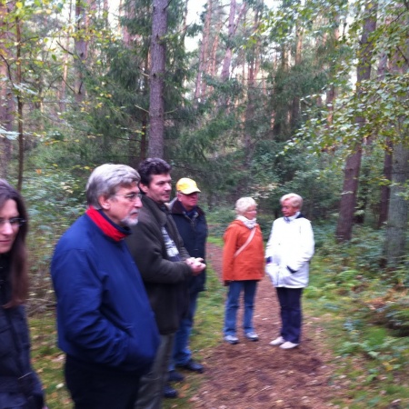 Größeres Bild ansehen