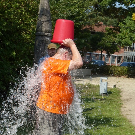 Größeres Bild ansehen